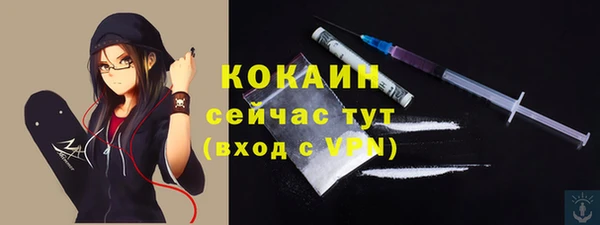 не бодяженный Алексин
