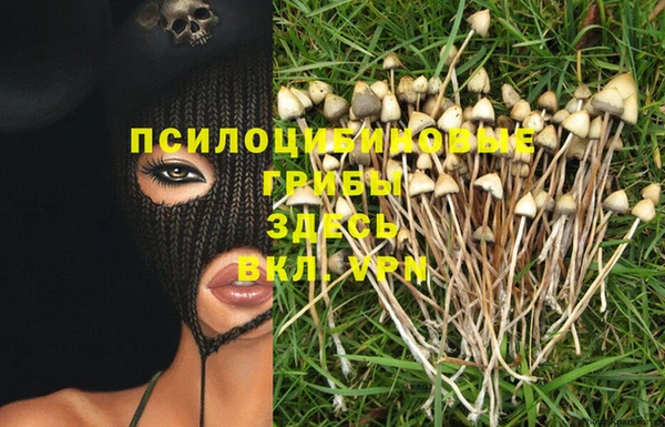 не бодяженный Алексин