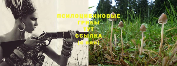 трава Алзамай
