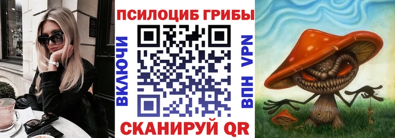 Псилоцибиновые грибы мицелий  купить закладку  Муравленко 